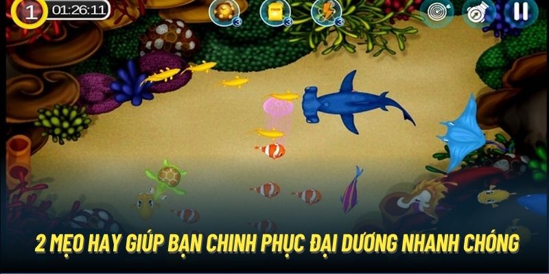 2 mẹo hay giúp bạn chinh phục đại dương nhanh chóng