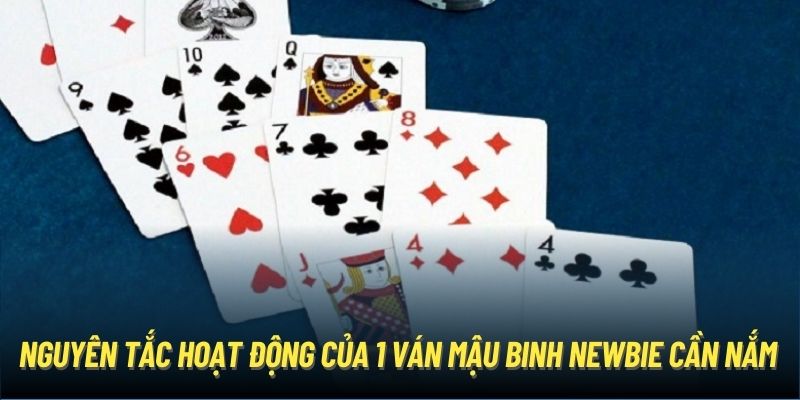 Nguyên tắc hoạt động của 1 ván Mậu Binh newbie cần nắm